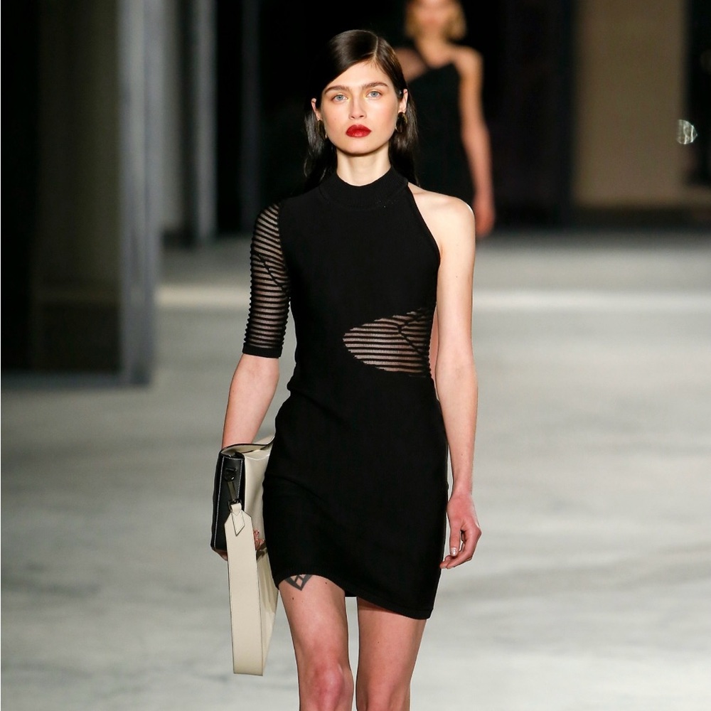 Cushnie et Ochs Fall 2018 Semi Sheer Black Mini Dress